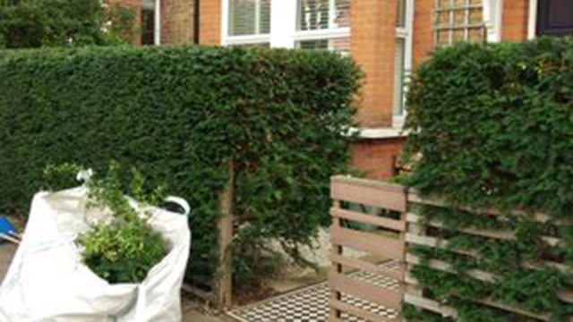 Images Aurora Trädvård AB