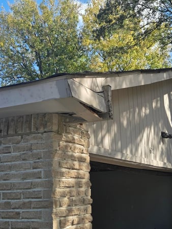 Images Home Run Pest & Termite Control