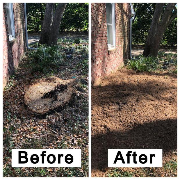 Images The DFW Stump Grinder