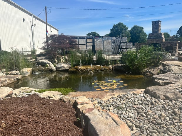 Images Juan Mata Lawn Care Services