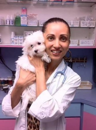 Images Animal Clinic of Bay Ridge