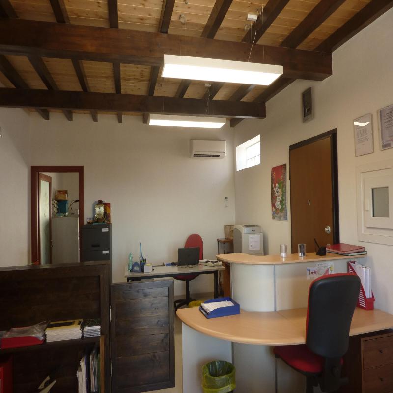 Images Gibbons Sarda