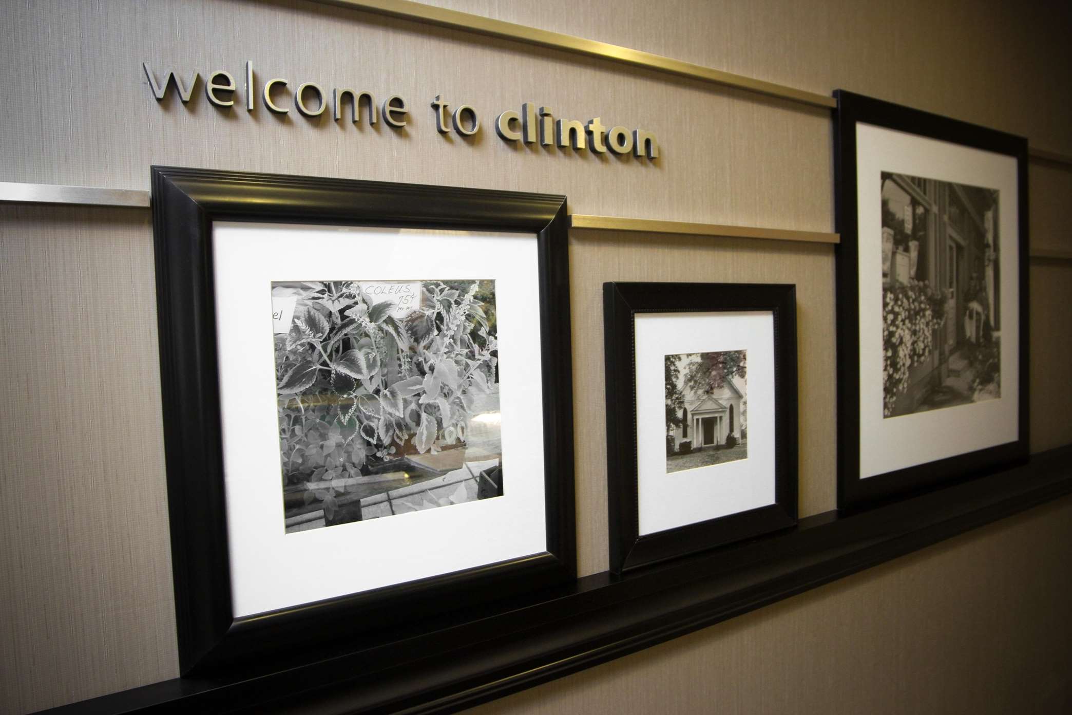 Clinton anderson store coupons