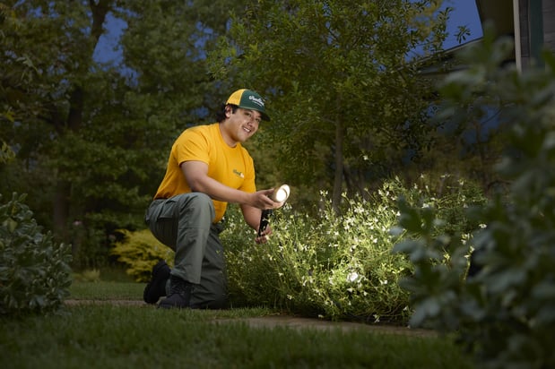 Images The Grounds Guys of Longview