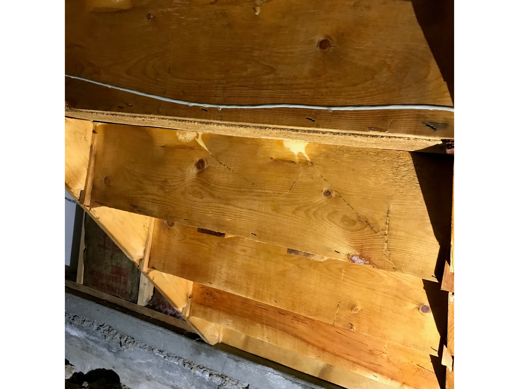 Mold on staircase after remediation