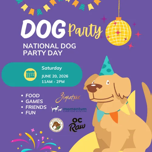 Image of Local Pet Event National Dog Party Day Nearby