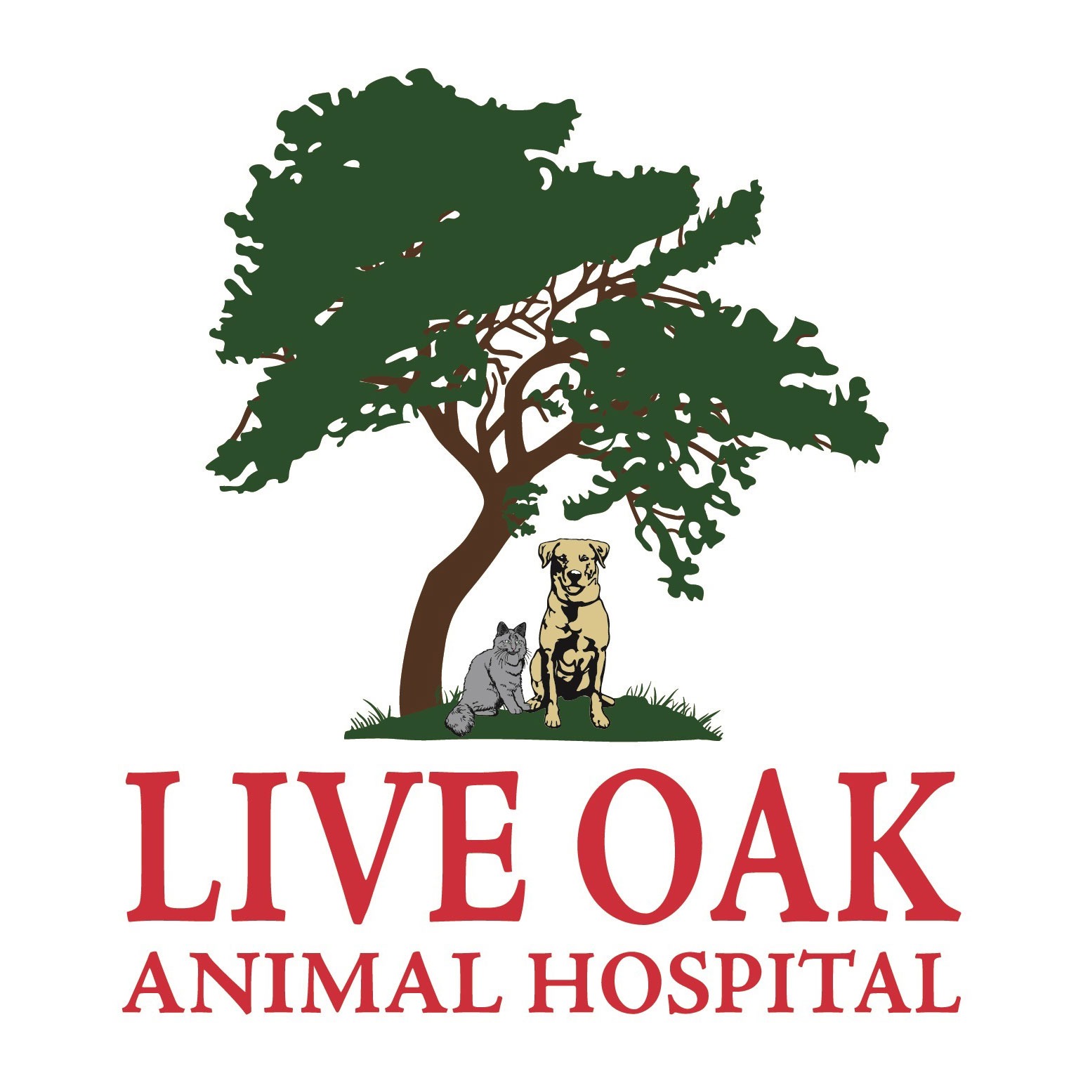 Live Oak Animal Hospital Logo
