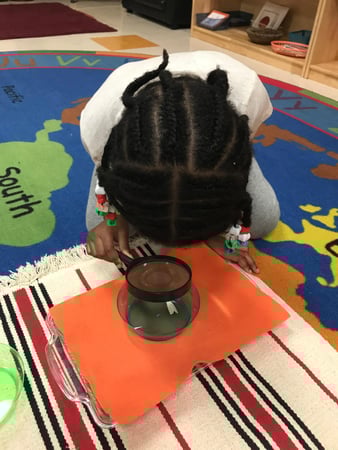 Images Teeter Toddler