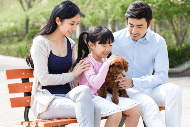 Images Lucy Ardon Erazo at Comparion Insurance Agency