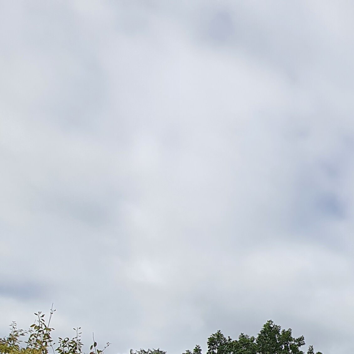 Images MM Roof Cleaning Services (MMRCS)