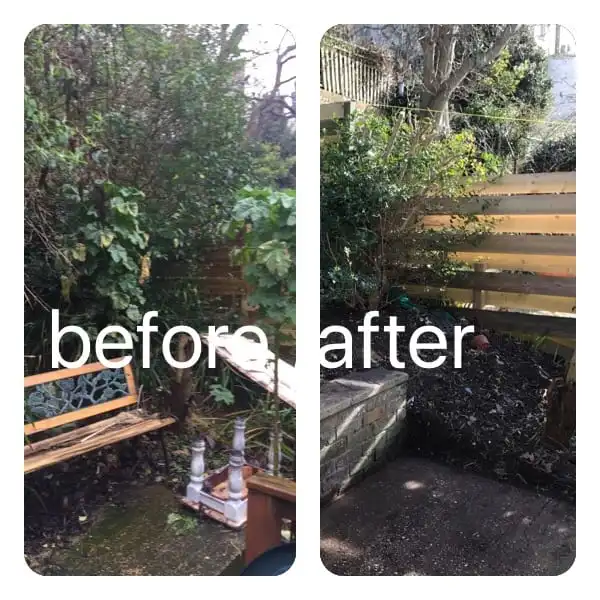 Images Prostyle Gardening & Home Services