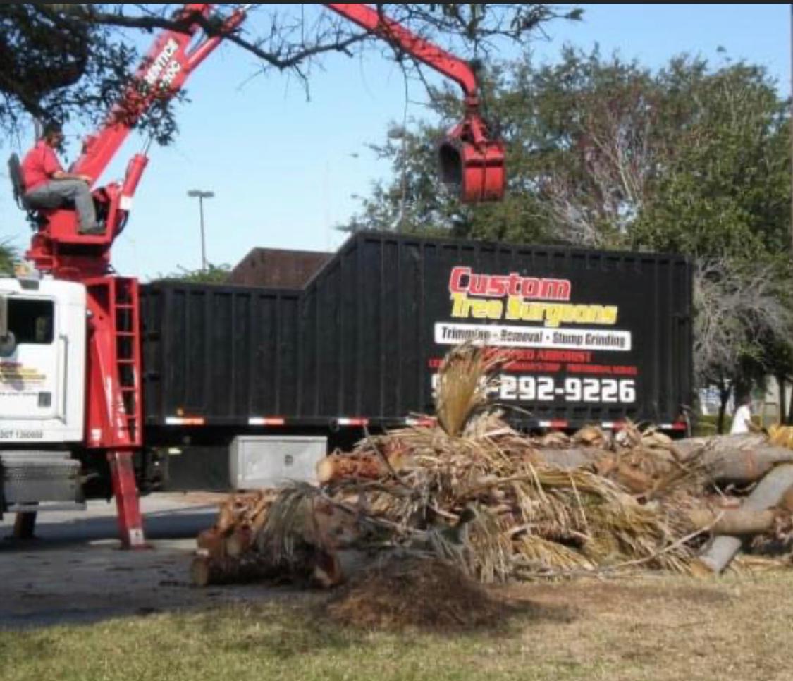 Custom Tree Surgeons