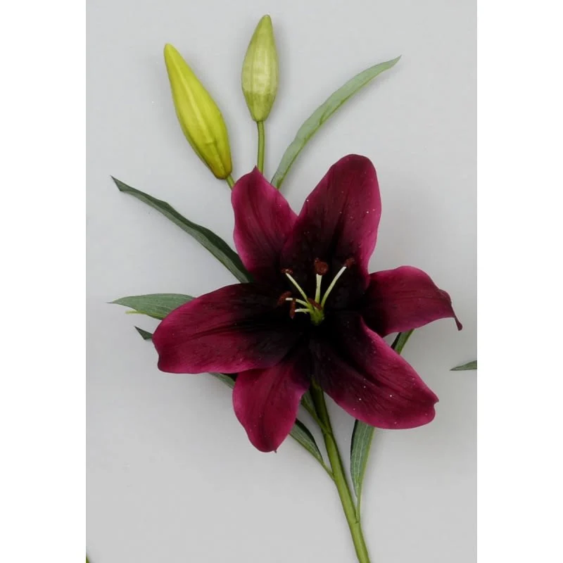 Images Village Green Wholesale Ltd