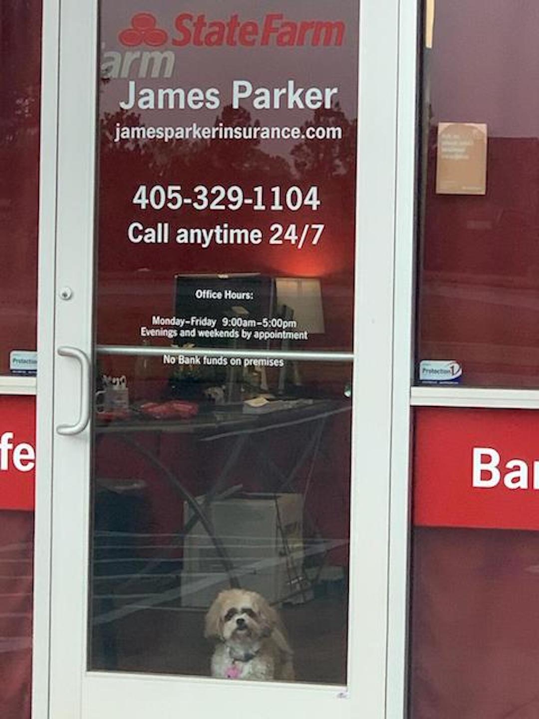 Lucy is ready to greet any customers!