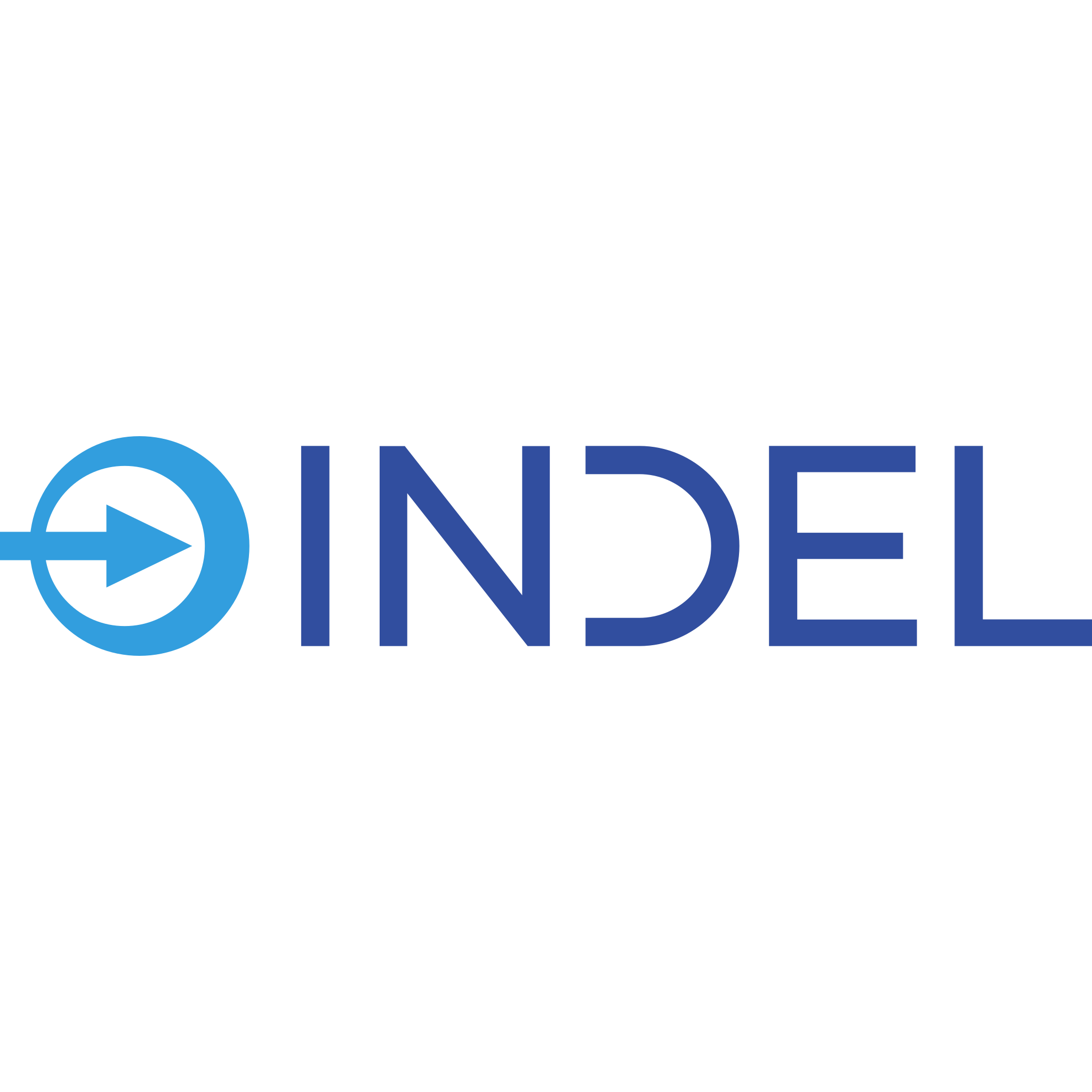 Indel AG Logo