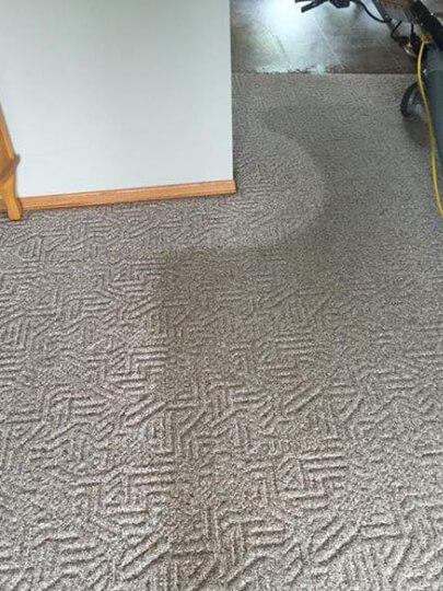 carpet cleaners