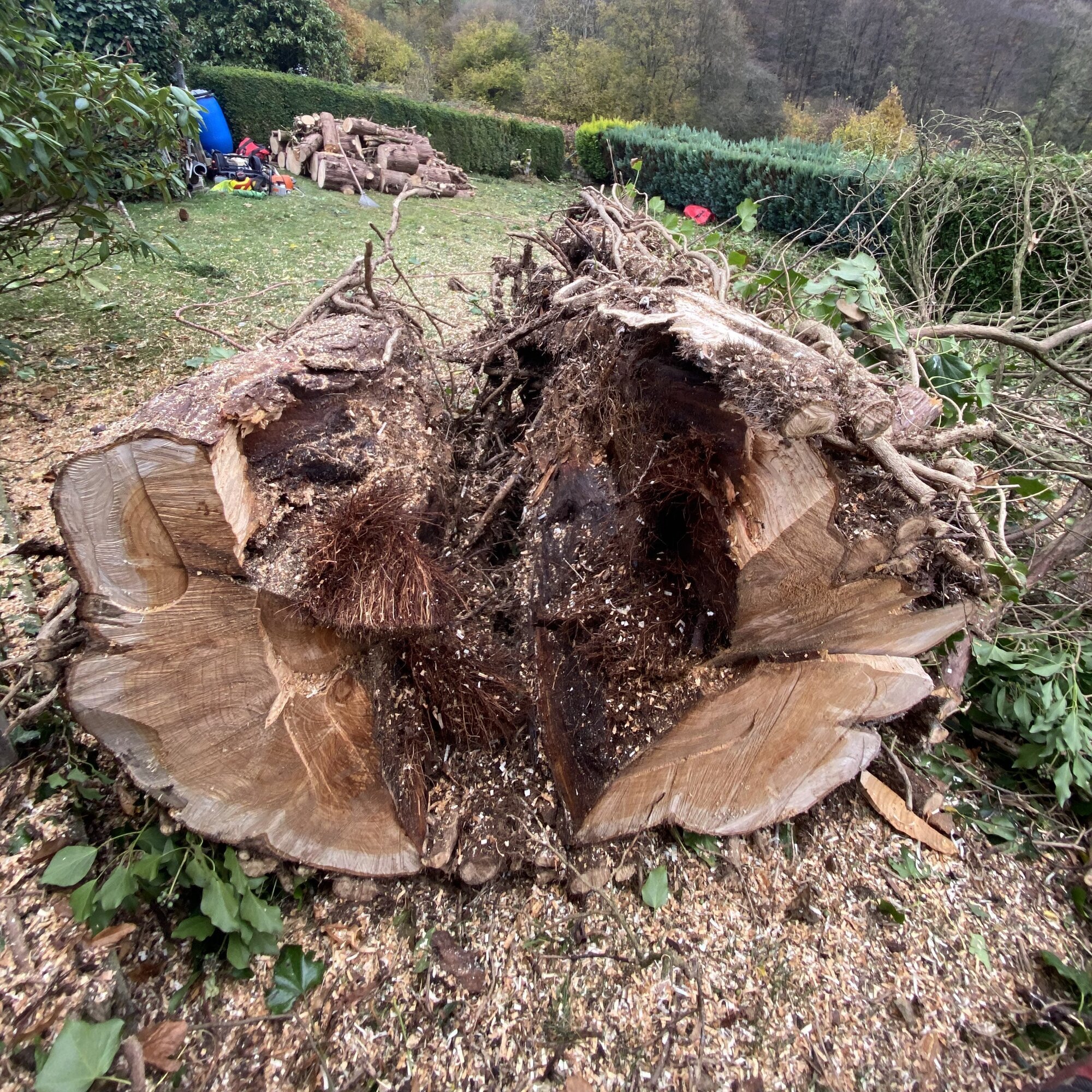 Baumdienst Behan, Im Winkel 22 in Schalksmühle