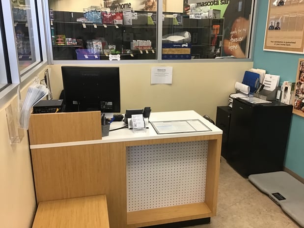 Images Petco Grooming