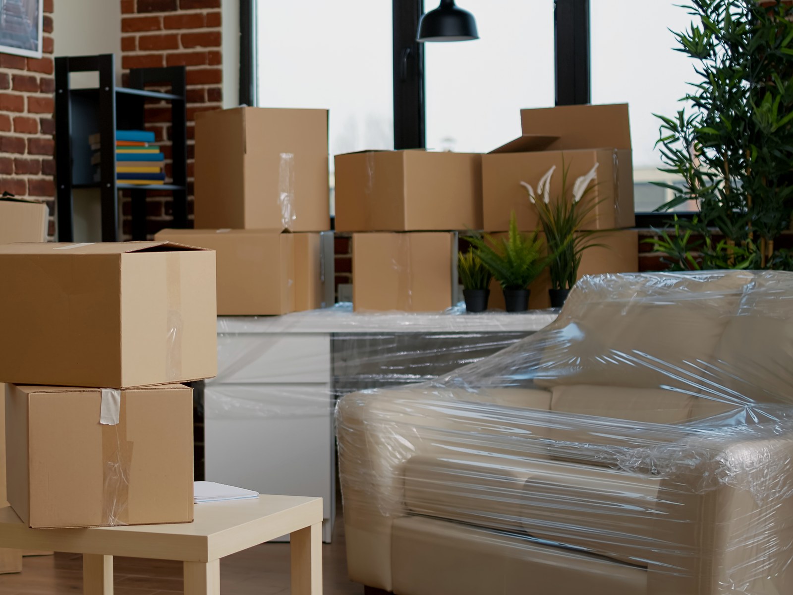 New Haven Across The Country Movers