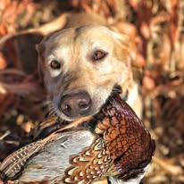 Images Beede Outdoors