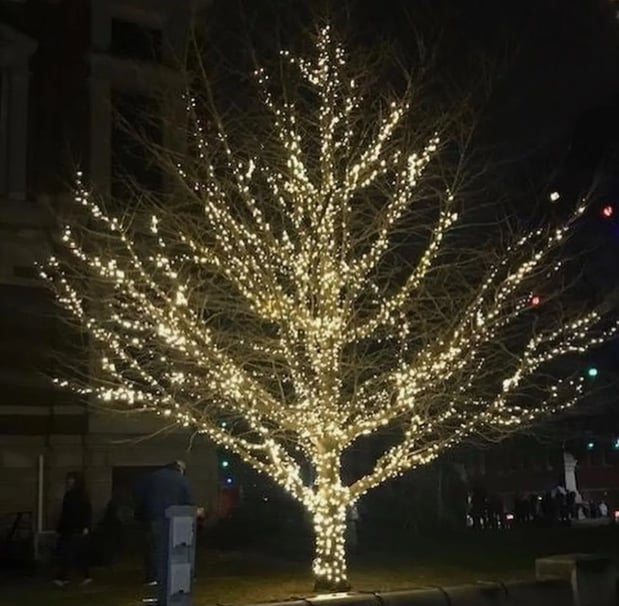 Images Christmas Light Contractors