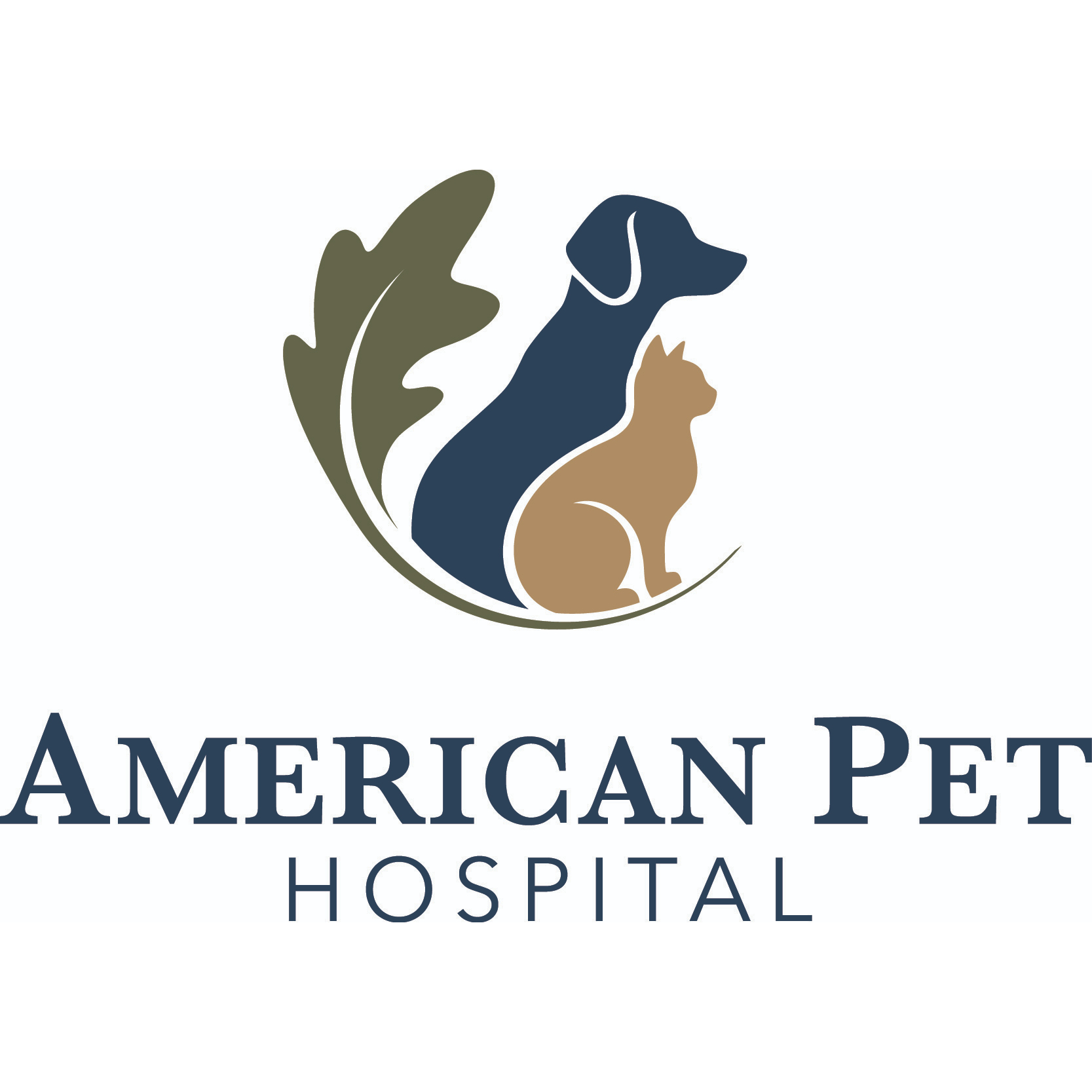 American Pet Hospital