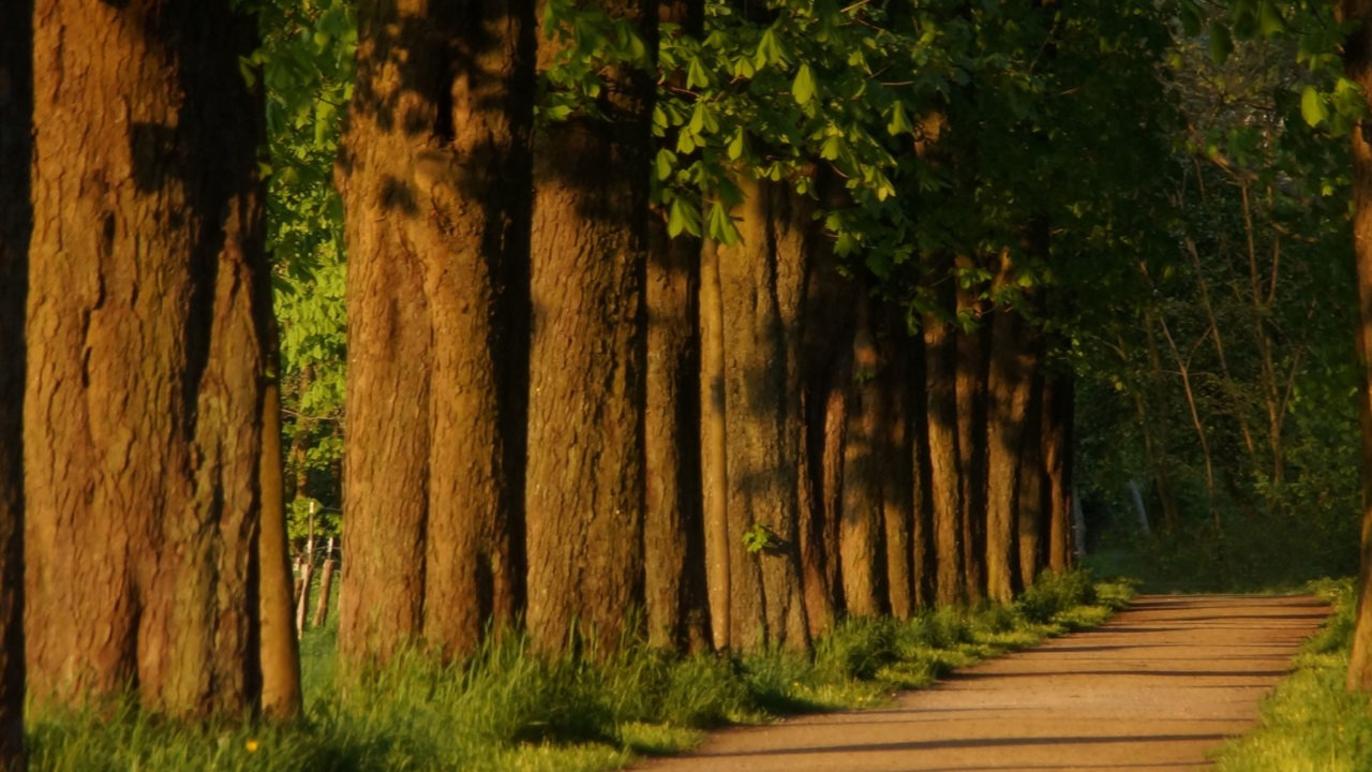 Images Skånegårdar AB