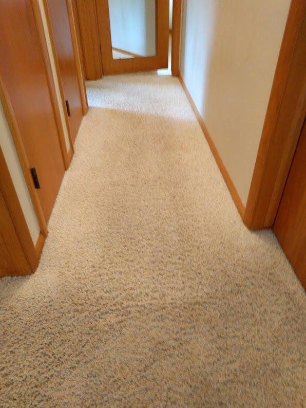 Hallway with light-colored carpet showing cleaned and slightly stained areas, wooden door frames, and natural lighting, illustrating before-and-after carpet cleaning results in a residential interior space.