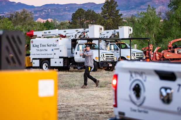 Images King Tree Service