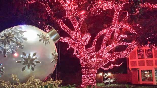 Images TNT Tree Service