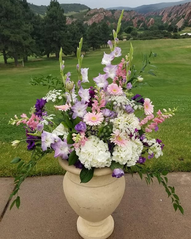 Images Abloom