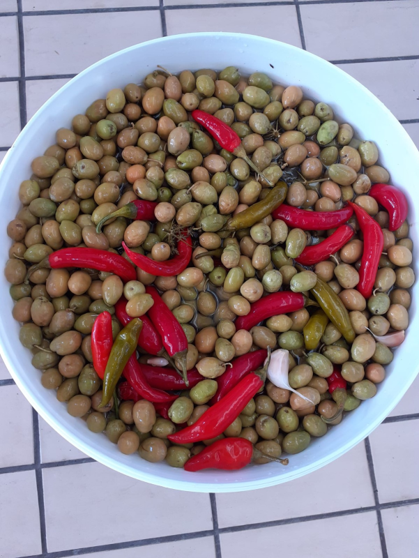 Images Capogreco Agricoltura