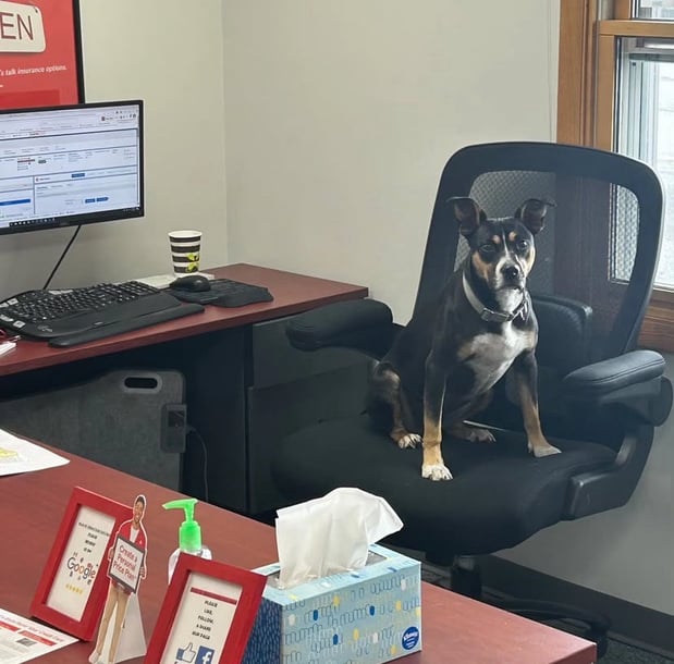 Images Nicole Hibbard - State Farm Insurance Agent