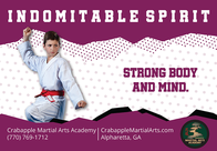 Martial Arts Classes at
Crabapple Martial Arts Academy