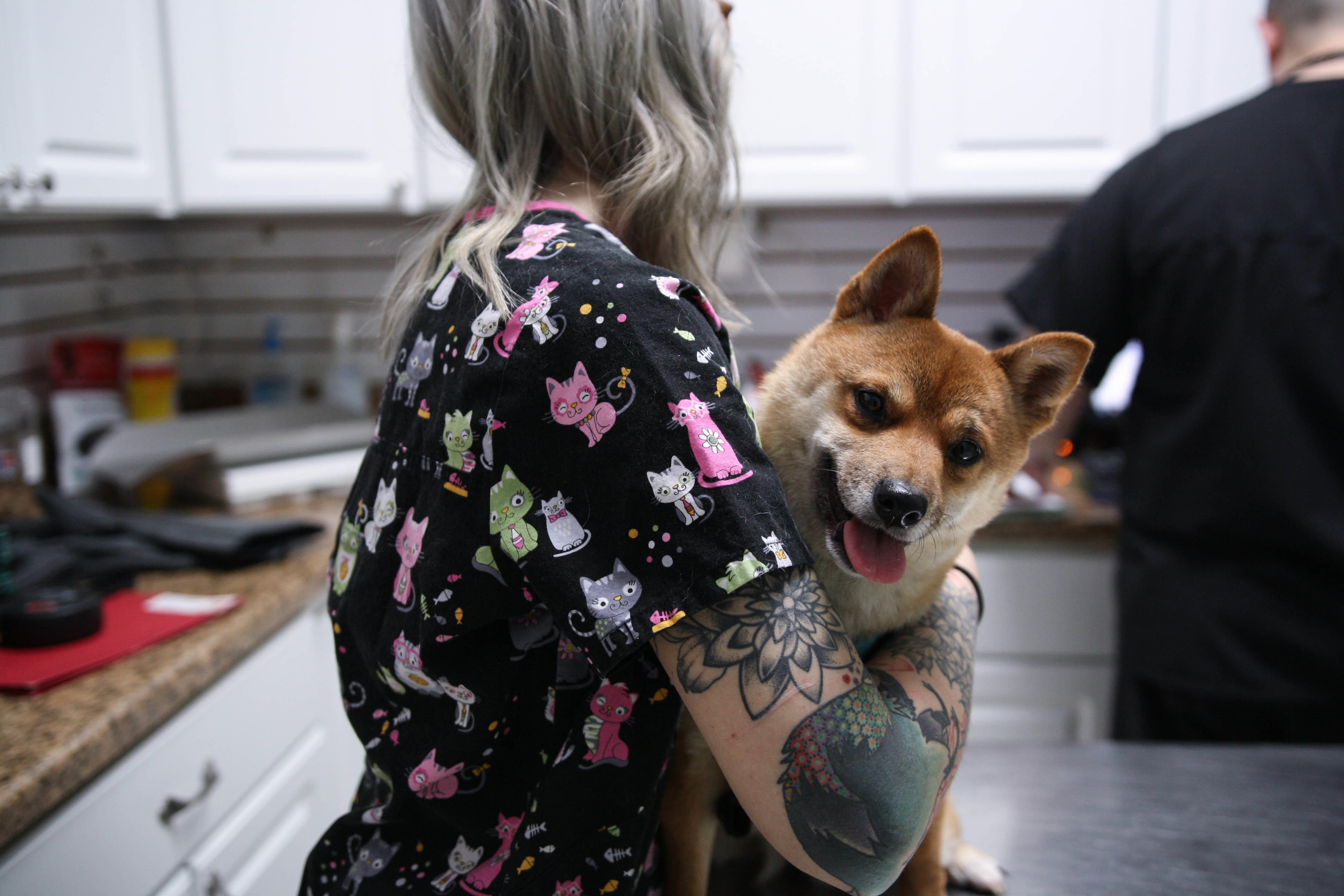 This precious pup warms up to a veterinary technician before Dr. Funk examines him nose-to-tail.