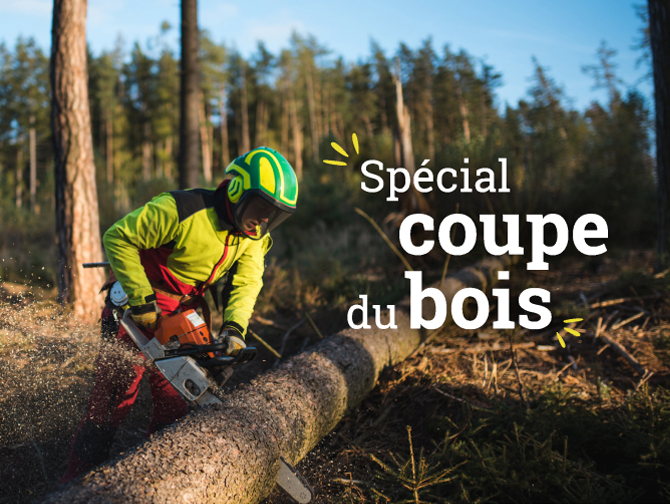 Spécial coupe du bois : découvrez nos offres