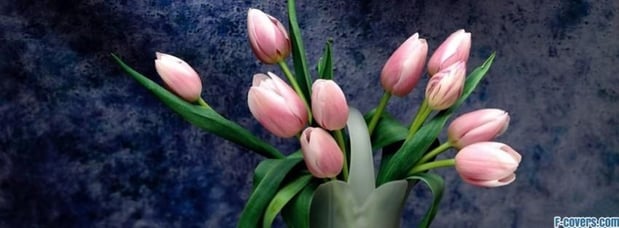 Images North Country Floral