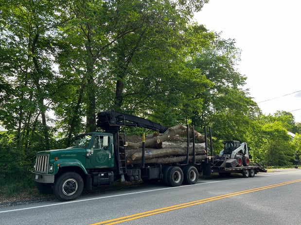 Images Yankee Tree Service