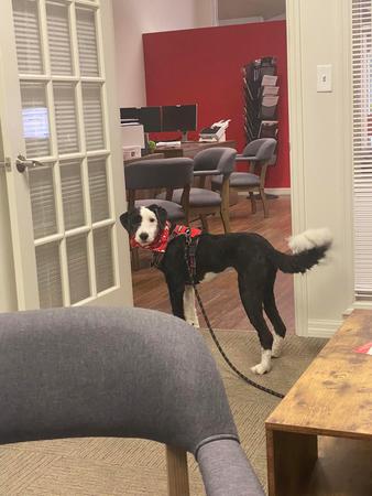 Images Hunter Stevens - State Farm Insurance Agent