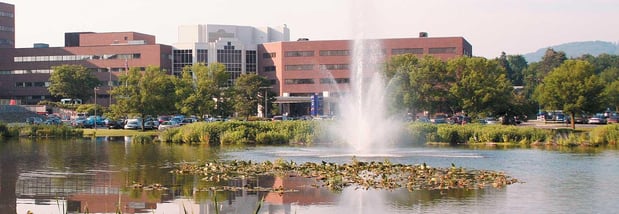 Images Guthrie Sayre Rheumatology