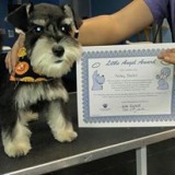 Images Featherle Pet Care Chantilly