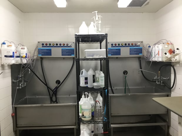 Images Petco Grooming