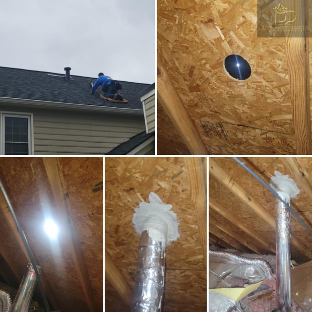 Images Dynasty Ducts