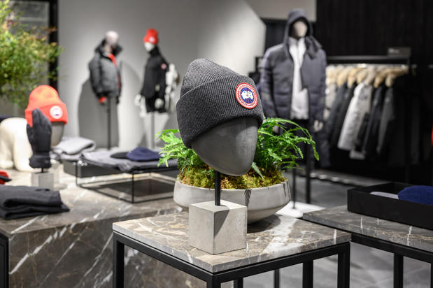 Images Canada Goose Minnesota