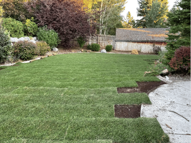 Images A Hernandez Landscaping