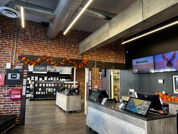 Images CityVet | Capitol Hill Veterinary Clinic & Urgent Care