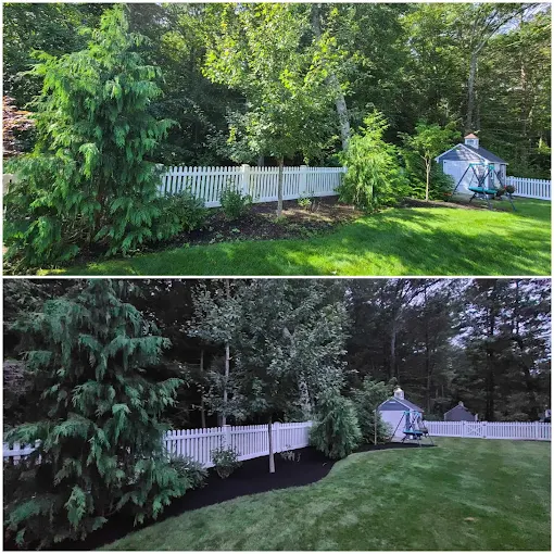Images Shea Landscaping LLC