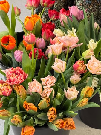 Images Blooms Collective