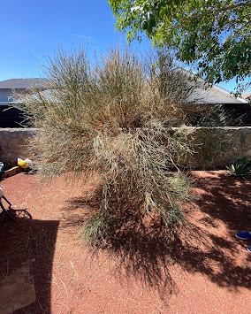 Zamora's Yard Cleanup And Junk Removal Services LLC Image