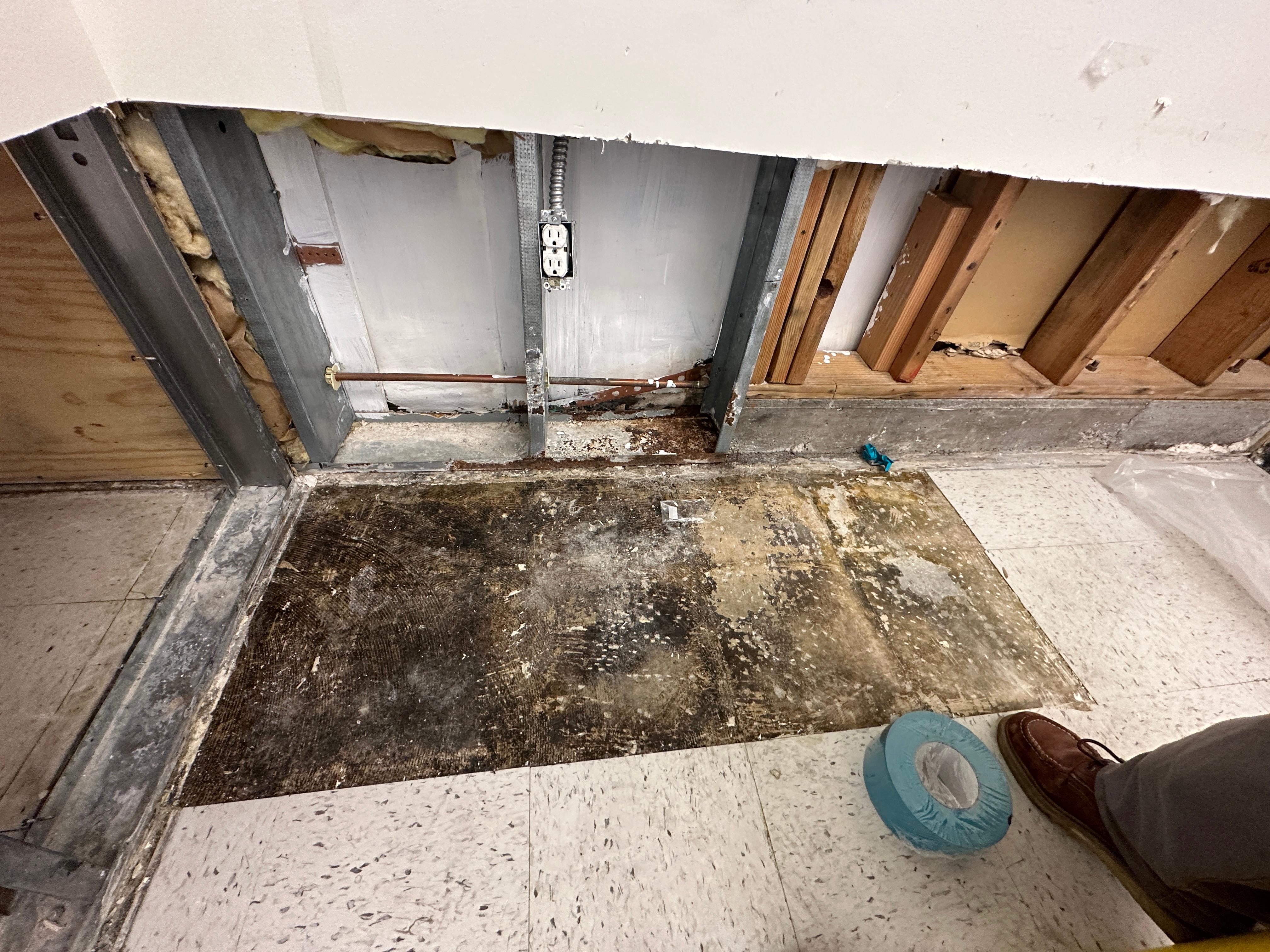 Trust the professionals at SERVPRO of Laguna Beach/ Dana Point for fast, safe, and reliable mold damage restoration services. Give us a call for professional help!